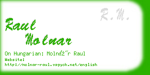 raul molnar business card